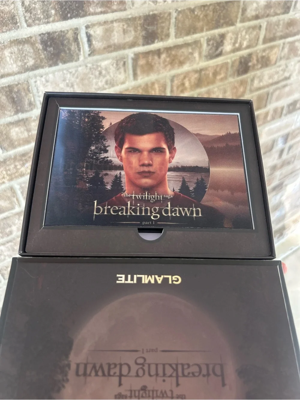Glamlite x Twilight Breaking Dawn Team Jacob Face & Body Palette